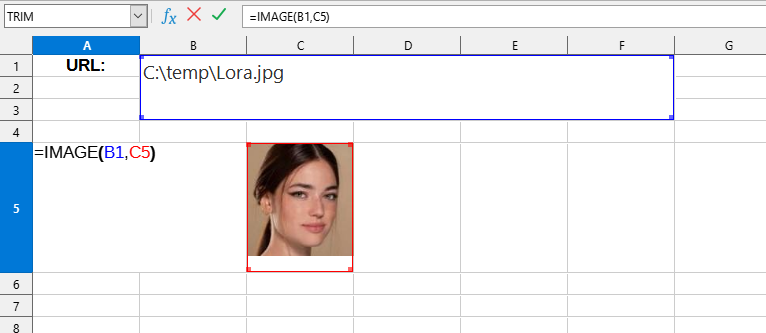 Приклад використання функції IMAGE()
